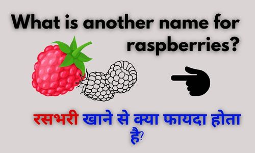 Raspberry Fruit In Hindi Name