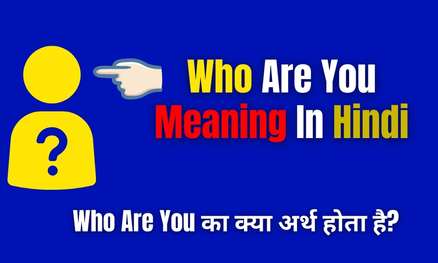 who Are You Meaning In Hindi